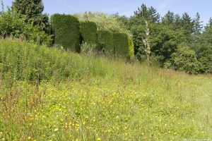 Braid_Meadow_topiary00 Braid_Meadow_topiary00