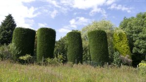 Braid_Meadow_topiary01 Braid_Meadow_topiary01