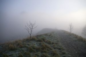 Misty00