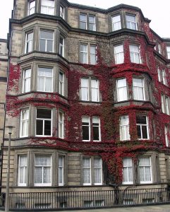 Rothesay Placae