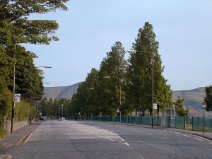 comiston_rd01