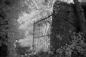 craiglockhart_hill_ascentIR2