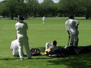 Cricket Cricket