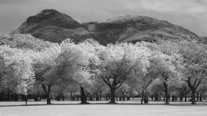 meadows75ir1920