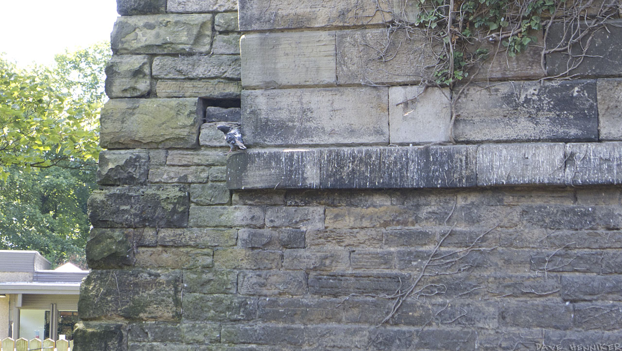 via-aqueduct2011i