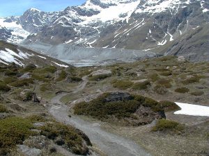 990609-1246 990609-1246
