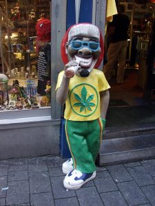 Rasta Rasta