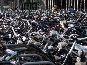 bike park