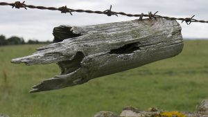 Fencepost02 Fencepost02