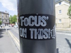 Focus Focus
