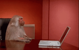 MonkeyLaptop MonkeyLaptop