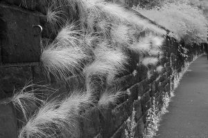 RussellRd2012_74IR RussellRd2012_74IR