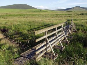 Thieves Road