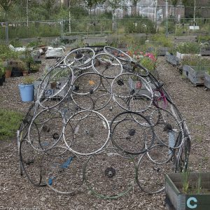 Viewforth_BikeWheels