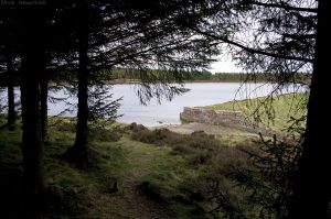 bonaly_res_1005a bonaly_res_1005a