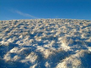 cap_law001227 cap_law001227