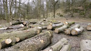 corstorphine_hill17