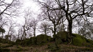 corstorphine_hill18