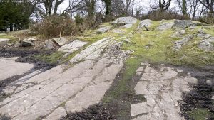 corstorphine_hill19
