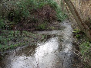 Covenanters Wood