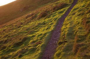 hillendpath06