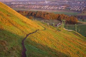 hillendpath07