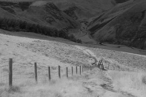 kirk-rd-IR07 kirk-rd-IR07