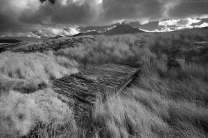 kitchen_moss_bridge_ir01 kitchen_moss_bridge_ir01