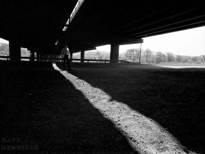 livibrig-self-p3 livibrig-self-p3