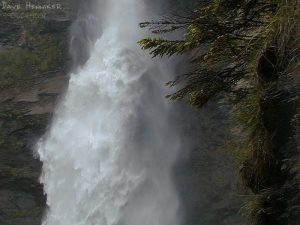 meiringen_f meiringen_f
