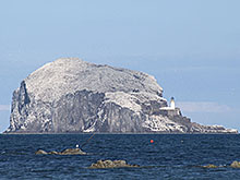 menu_Bass_Rock12