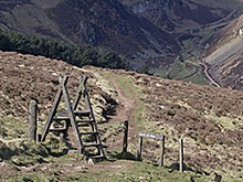 menu_Kirk-Rd07LoganBurn