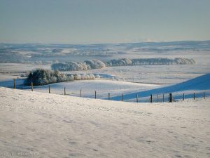 nr9mileburn00 nr9mileburn00