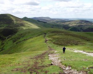 Scald Law Scald Law