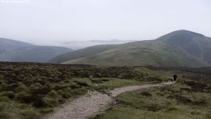 scald_law11ascent00 scald_law11ascent00