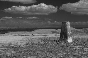 scald_law1306ir14 scald_law1306ir14