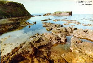 seacliffe