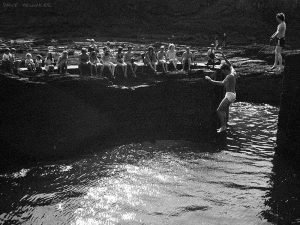 seacliffe_harbour
