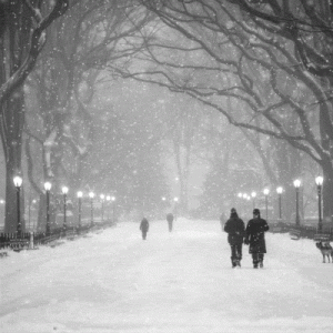snowing snowing