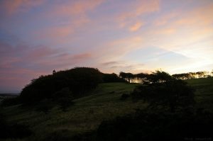 t-woods21sunrise