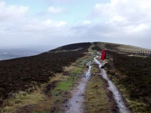 Hillend_Jane