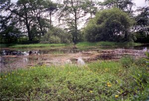pond_roslin