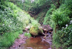 woodhalldene