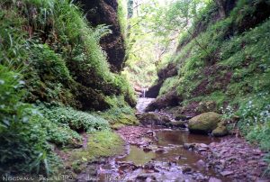 woodhalldene2