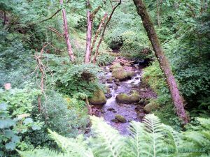 woodhalldene3