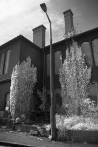 GilmorePark2017(27)ir