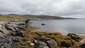 Tarbert10 Tarbert10