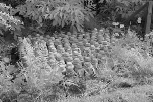 garden04ir