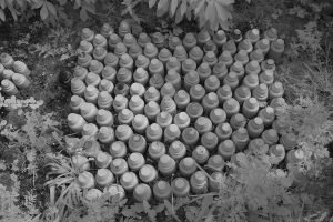 garden05ir