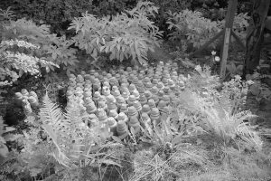 garden06ir
